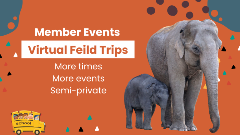 Premium Virtual Field Trip